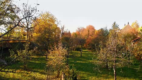 a-drone-flies-slowly-backward-past-trees-and-finally-crosses-a-bridge