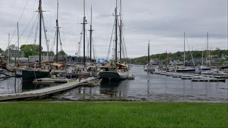 waterfront in camden maine with large ships and grass in the foreground