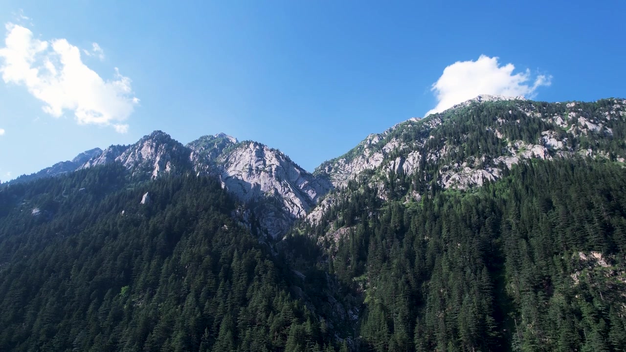 Rgged Kumrat Valley mountains covered in dense pine forests under a clear blue sky. Perfect for travel documentaries and ecofriendly tourism content.