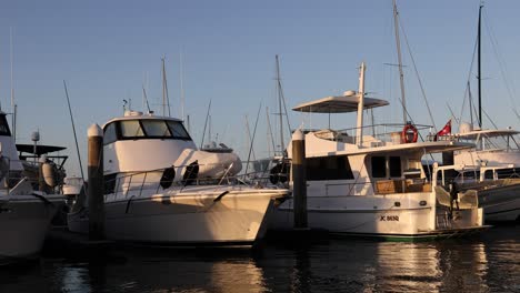 boats gently moving in a marina at sunset