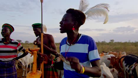 karamojong man talking about cows in the kraal in uganda, africa - close up