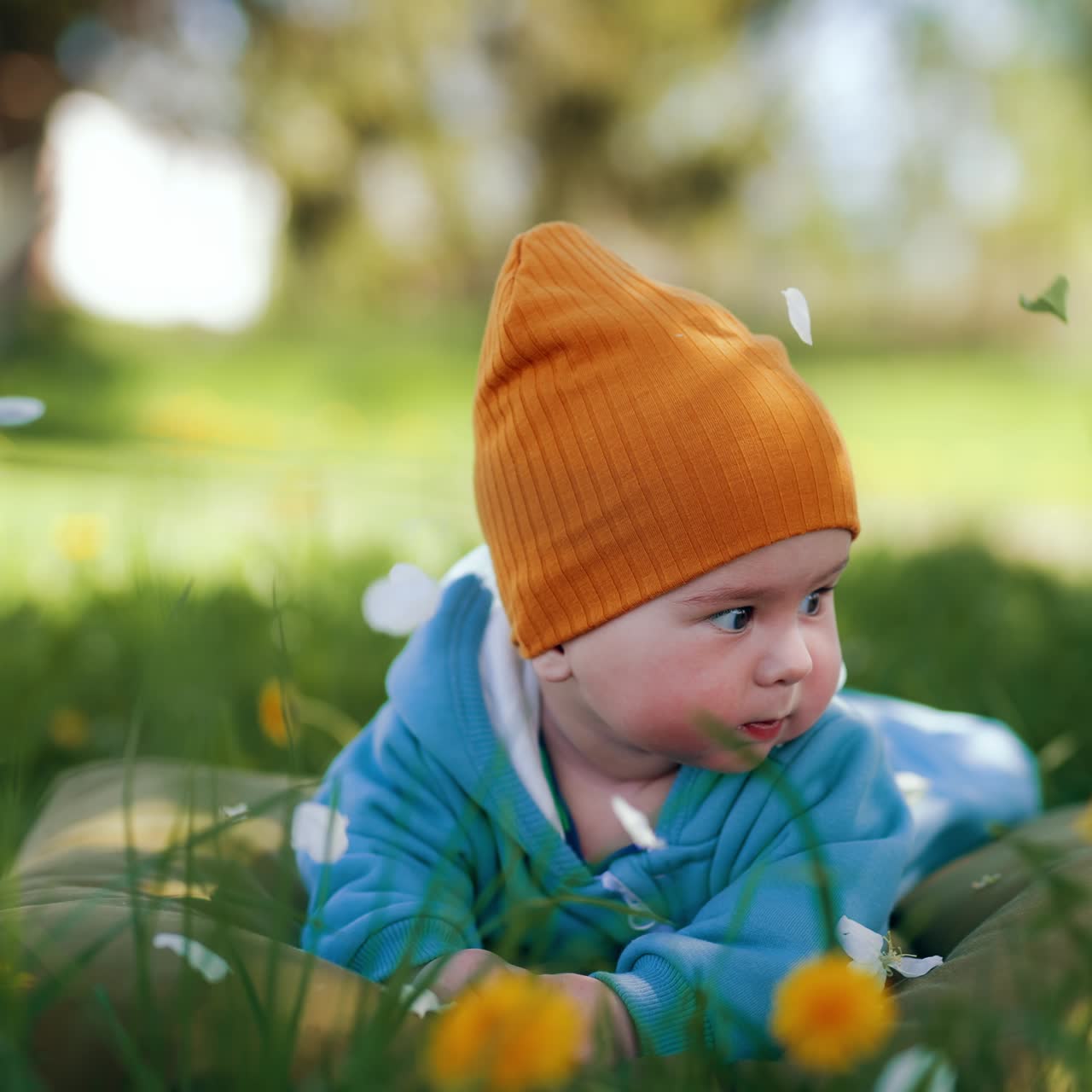 Peaceful calm baby boy lies on the grass looking sideways. White flower petals fall on the beautiful child