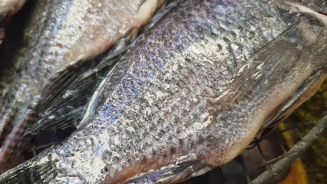 Close-up-on-a-fish-being-roasted-on-a-grill-with-charcoal-outdoors