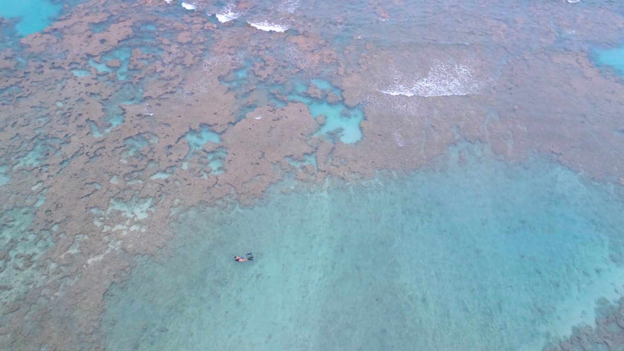 pareja haciendo snorkel en el mar 4k