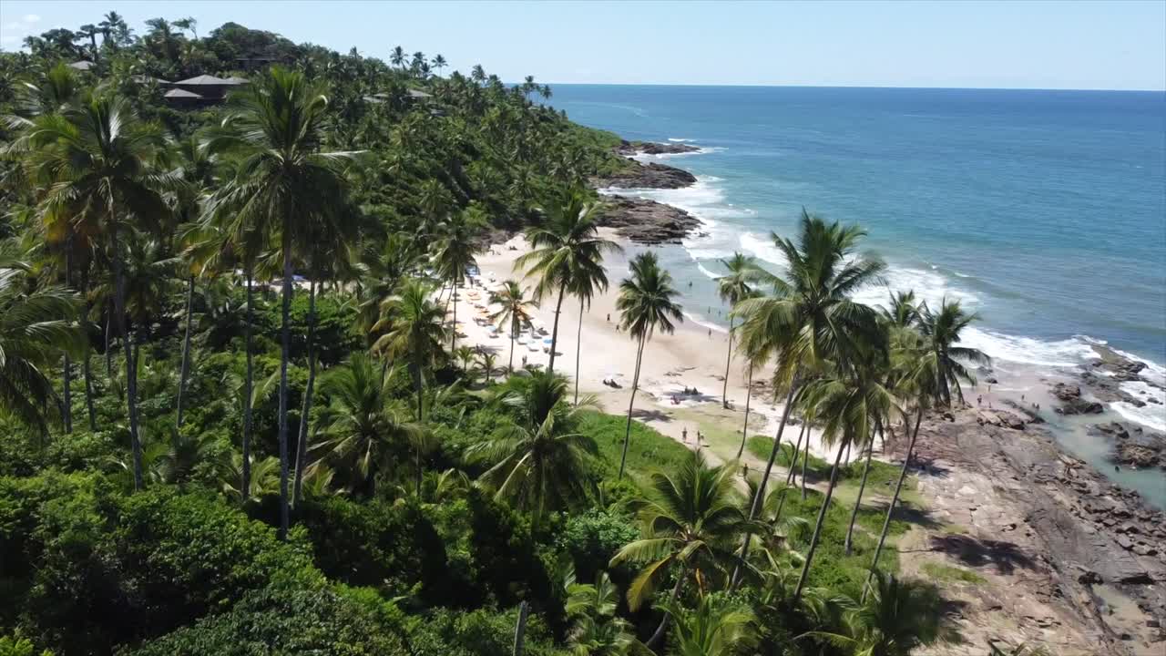 Palmeras y hermosas playas brasileñas en una ciudad costera oceánica