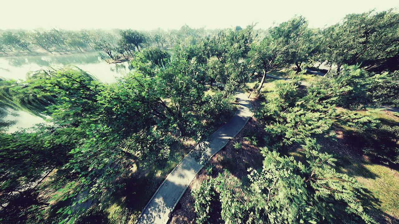 vista desde la altura del parque con un césped verde y senderos