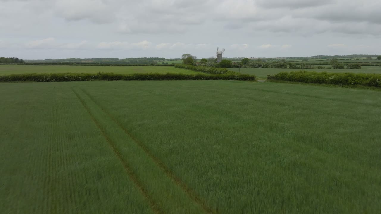 Spring Crop Field Bircham Windmill Norfolk Landscape Aerial View