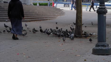 pájaro en l'ny manhatten