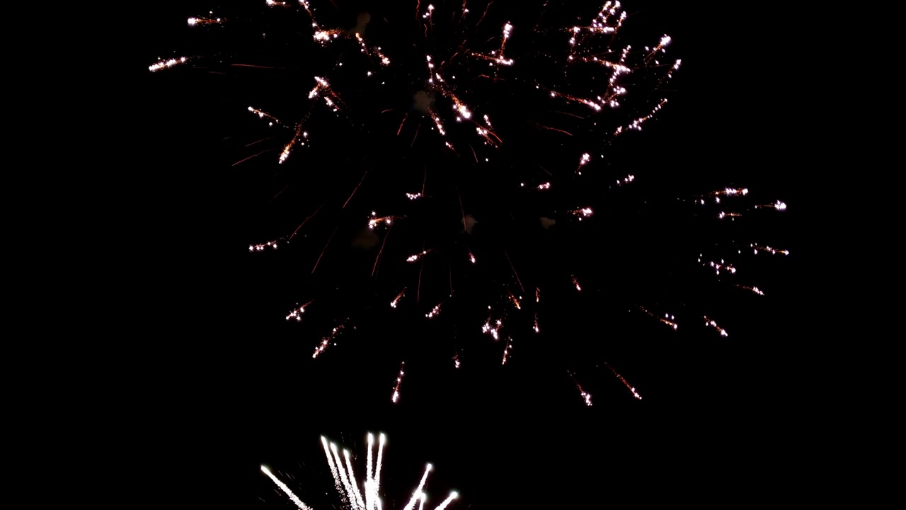Vista statica di fuochi d'artificio a palma che esplodono con fuochi d'artificio a broccato che esplodono sotto, inondando il cielo di scintille