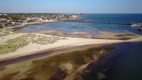 drone footage of people and dogs at the brighton dog beach, with middle brighton pier in background