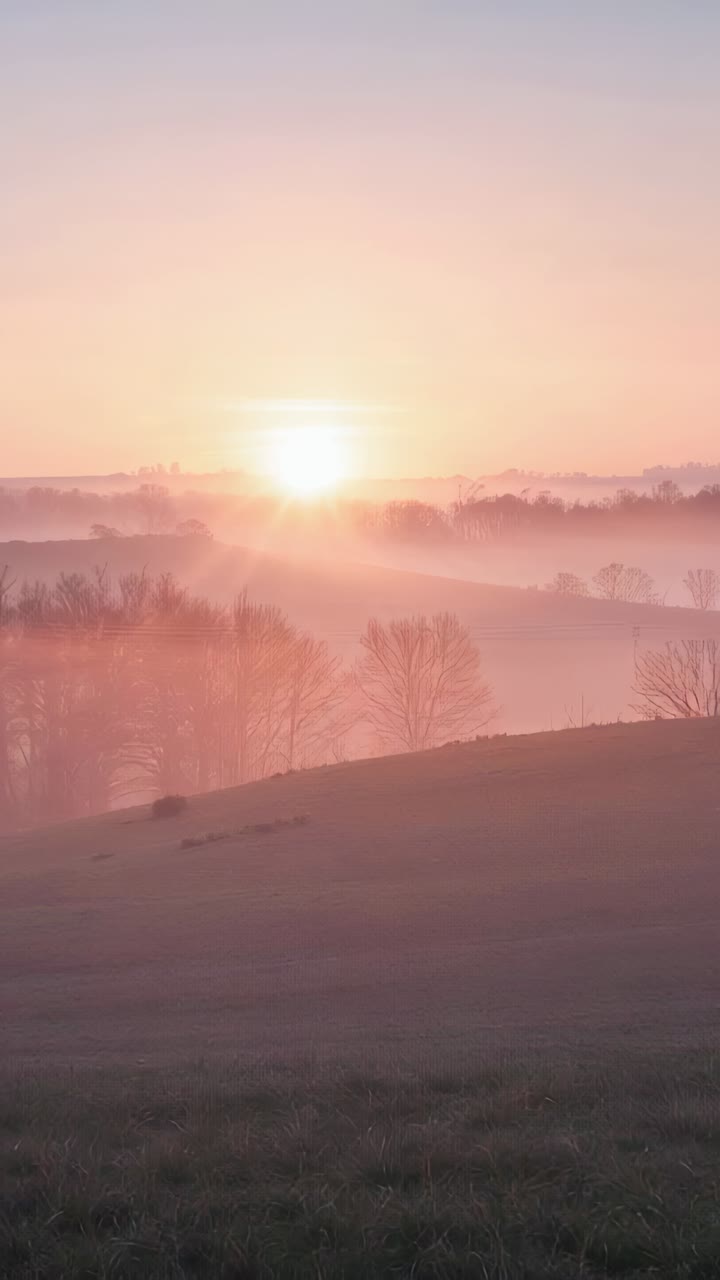Vertical video: Rising sun casting warm light over mist-filled hills at dawn, revealing bare trees