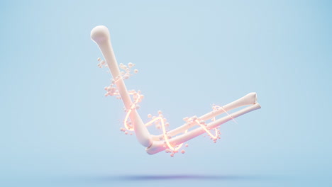 골격의 생물학적 해부학 및  건강, 3d 렌더링