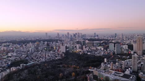 Skyline-Von-Tokio-Bei-Sonnenuntergang