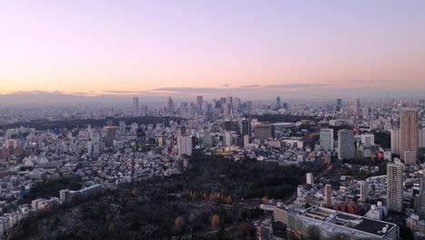 skyline of tokyo at sunset