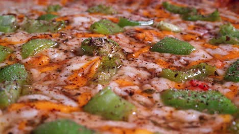 Vegetarian-Pizza-extreme-close-up-shot