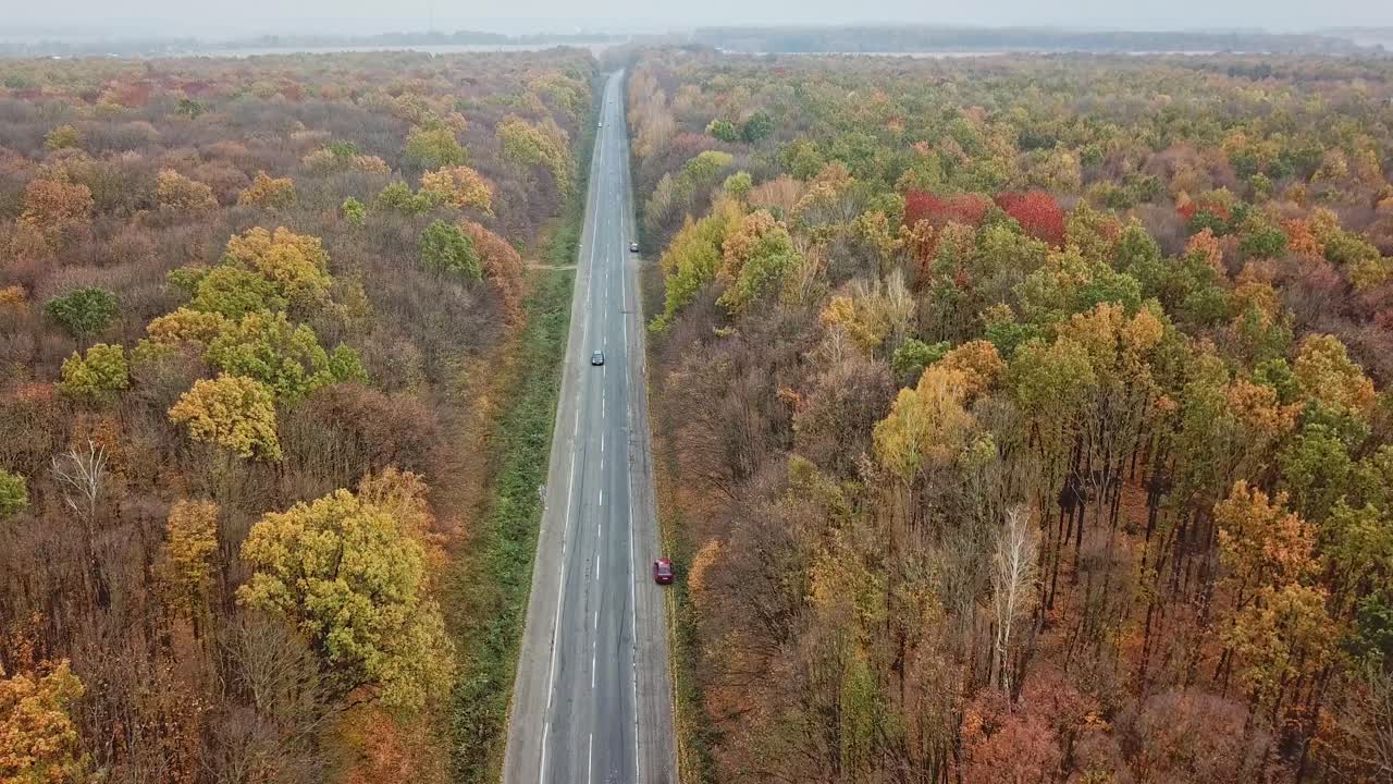 Road in beautiful autumn forest. Aerial above view of a rural landscape with road running through forest