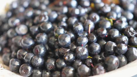frutas negras del bosque bayas silvestres arándanos bayas salvajes dando vueltas alrededor