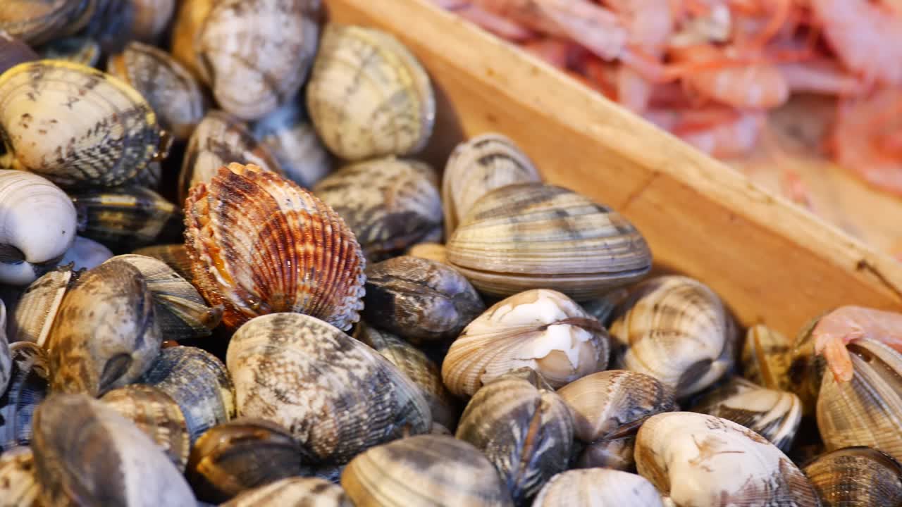 Fresh Clams at a Market