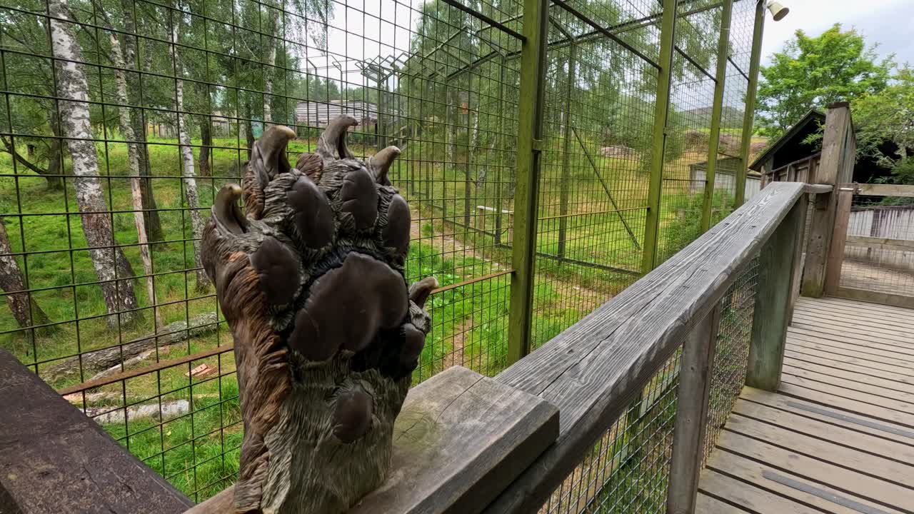 Person touches large bear paw statue on outdoor wooden walkway in natural daylight, steady shot