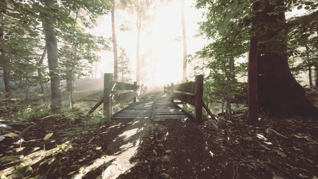 Sunlit forest path with wooden bridge inviting exploration and adventure