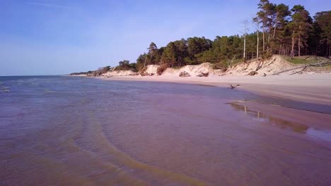 Aerial-view-of-Baltic-sea-coast-on-a-sunny-day,-steep-seashore-dunes-damaged-by-waves,-broken-pine-trees,-coastal-erosion,-climate-changes,-low-wide-angle-drone-shot-moving-forward