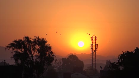 Hermosa-E-Inspiradora-Mañana-Dorada,-Silueta-De-árbol,-Montañas,-Torre-Celular-Y-Pájaros-Volando-Al-Amanecer,-Mumbai,-India