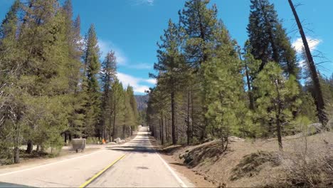 driving through the kings canyon national park, usa