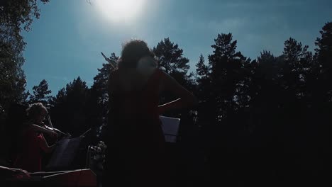 joven violinista bonita tocando el violín como parte de un grupo