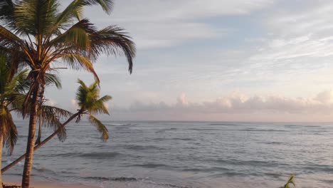 Hombre-Parado-Solo-Héroe-Baleado-En-La-Playa-Bajo-Palmeras-En-Punta-Cana