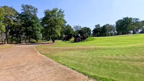 lush green landscape with a winding path