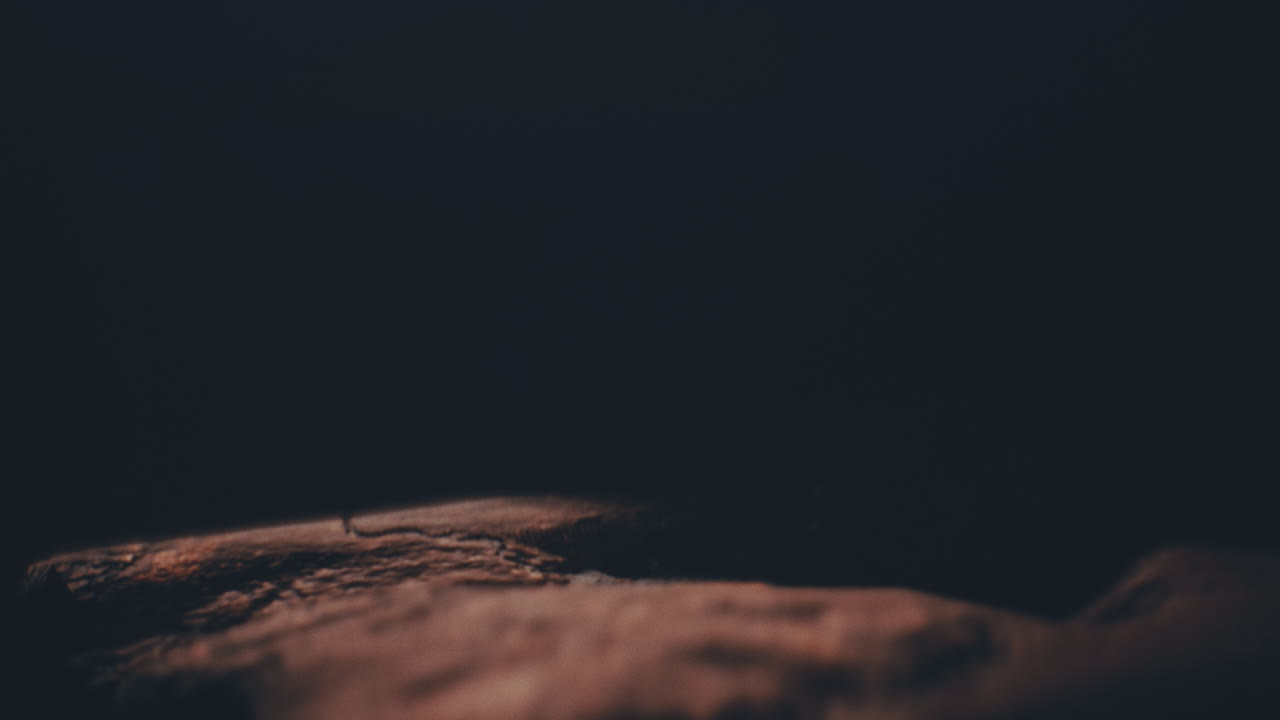 A head of the giant ancient deity statue hidden in a cave