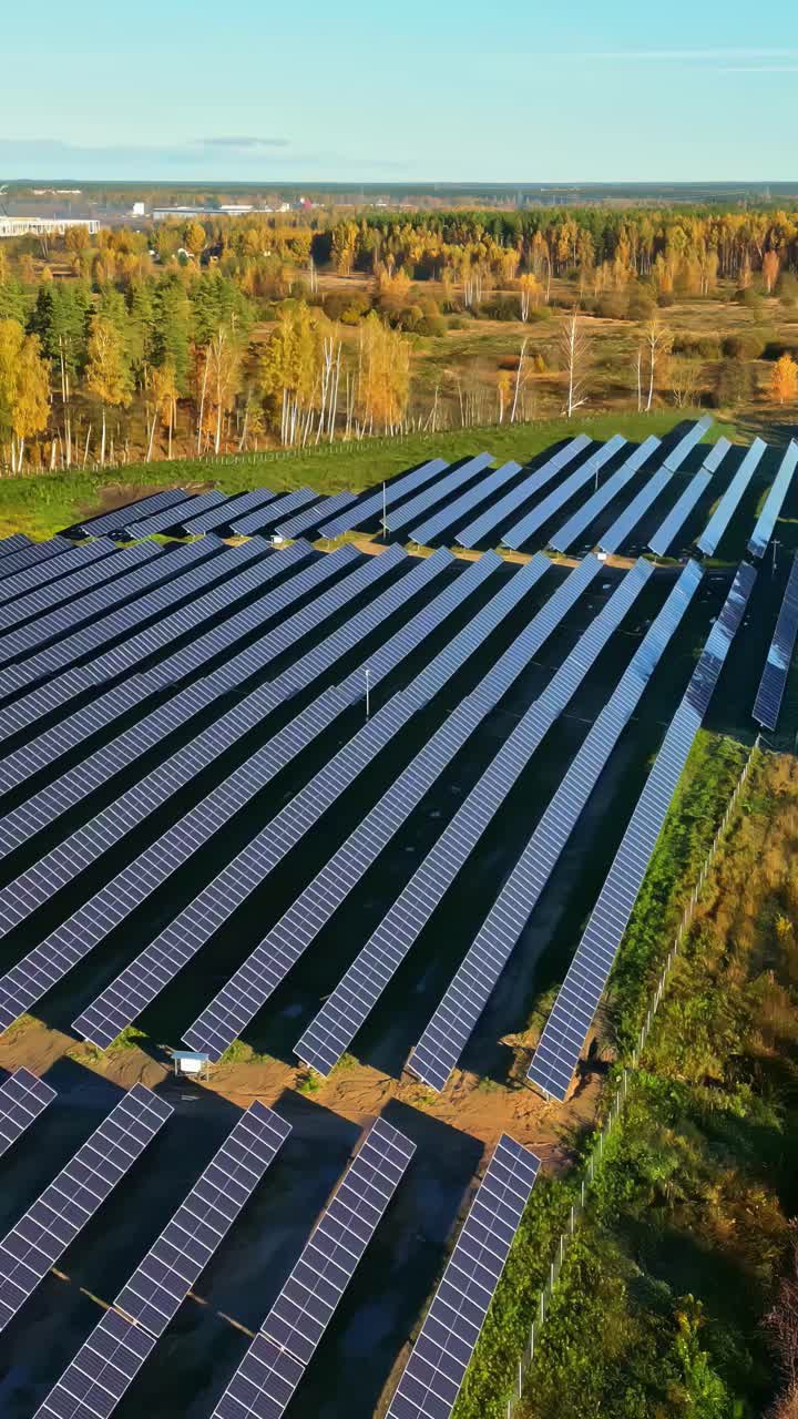 Field of solar panels with autumn color forest, aerial vertical view