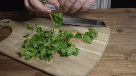 un chef poniendo perejil plano fresco en una tabla de cortar