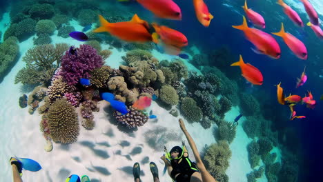 colorful underwater scuba diving experience