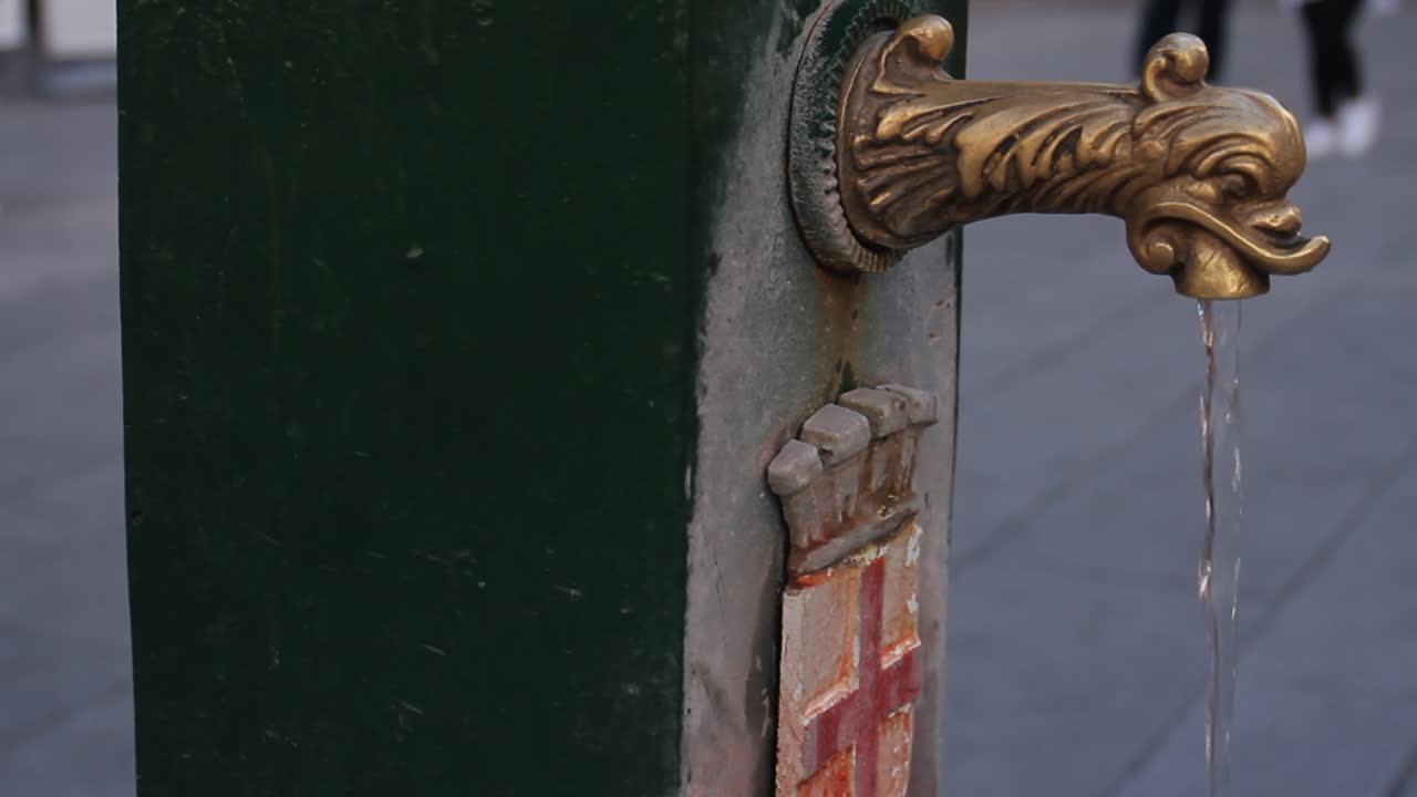 Drinking fountain with dragon faucet