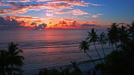 playa con palmeras y una puesta de sol increíblemente hermosa