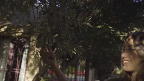 bella dama recogiendo aceitunas de un olivo en su lujoso jardín