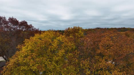 Levantándose-Desde-Un-Patio-Trasero-Hacia-Los-Colores-Del-Otoño-Y-Las-Nubes-Tormentosas