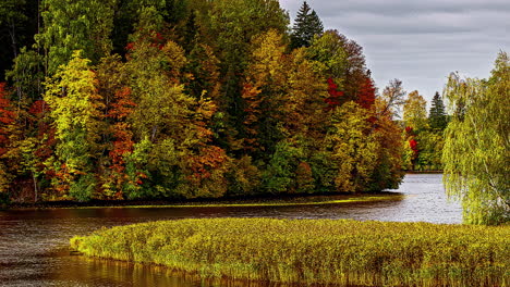 Lapso-De-Tiempo-De-Hermoso-Bosque-Colorido-O-árboles-En-Otoño-Y-Río-Que-Fluye