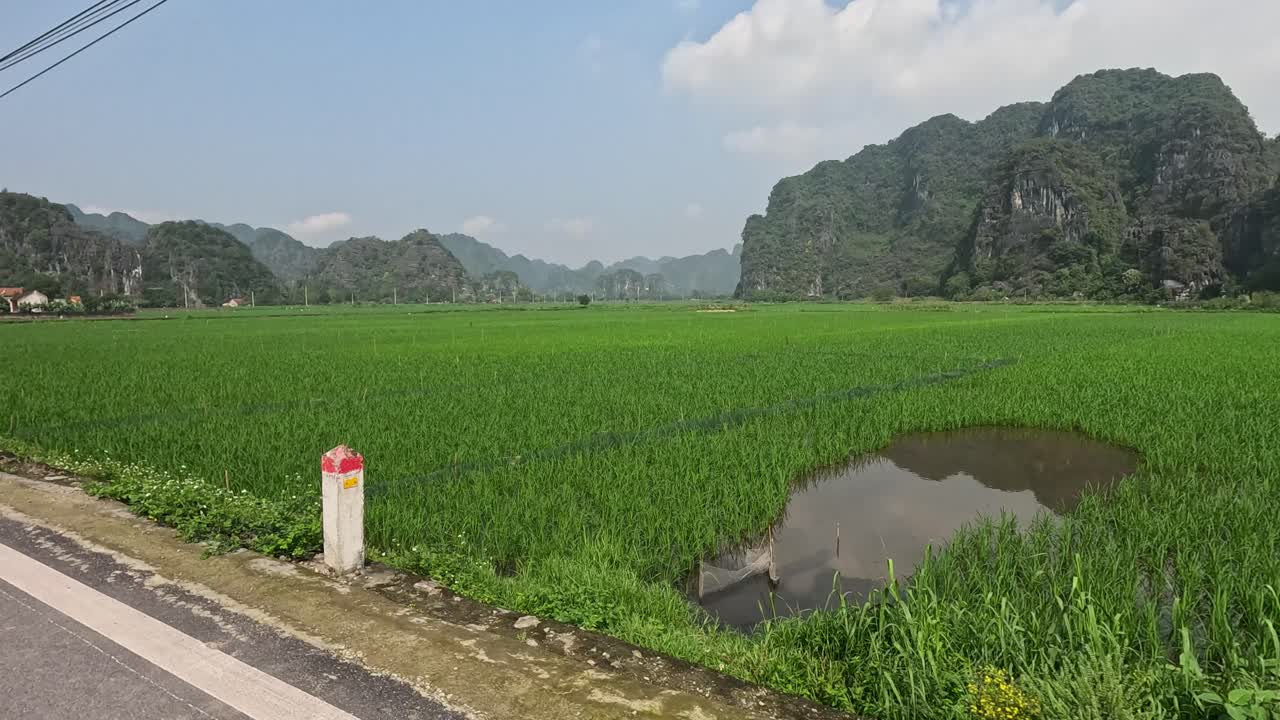 울창한 과 카르스트 지형의 진보적인 시각