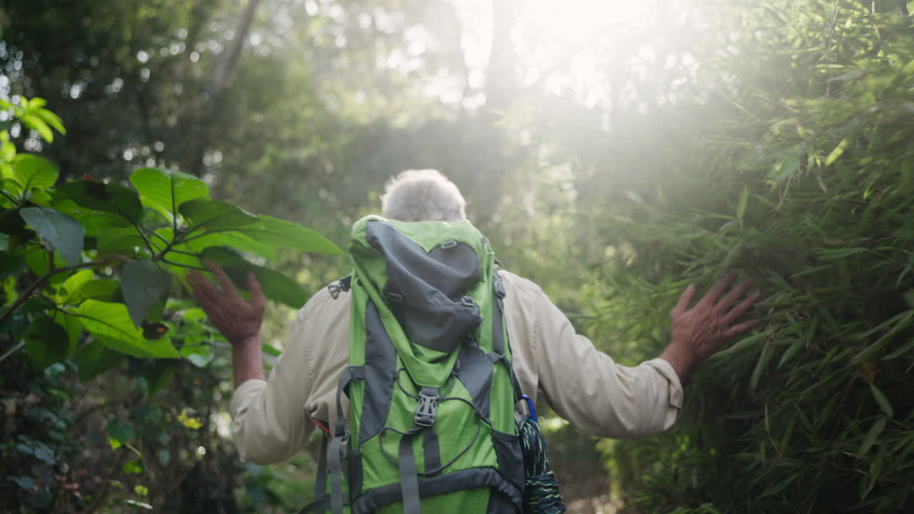 Senior Hiker Exploring a Lush Forest