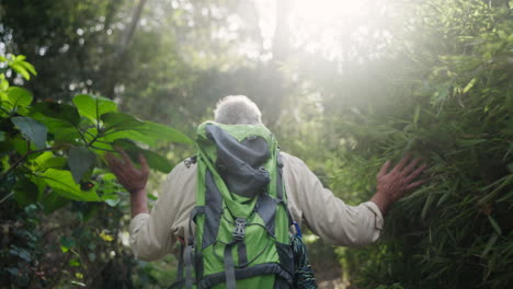 senior hiker exploring a lush forest