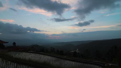 bali rice field timelapse at sunrise