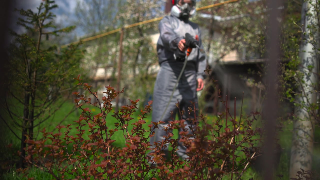 A person wearing a gray protective suit and respirator mask stands among dense shrubs and tangled branches in a bright outdoor garden, with a blurred house