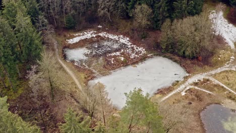 POI-drone-shot-of-a-frozen-lake-in-a-forest-with-green-conifer-trees,-turning-the-drone-around-the-idyllic-landscape