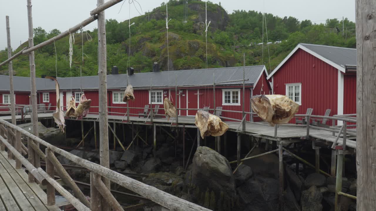 Tørrfisk henger fra trerammer ved siden av røde fiskehytter i Nusfjord i Lofoten, Norge – nærbilde
