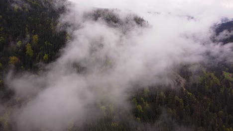 drone slow fly among clouds over a moody forest mountain valley during spring time