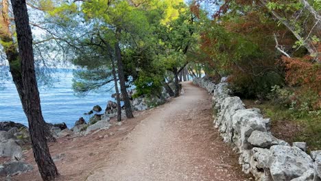 scenic hiking trail with pine trees close to the adriatic sea, between njivice and malinska, krk, croatia