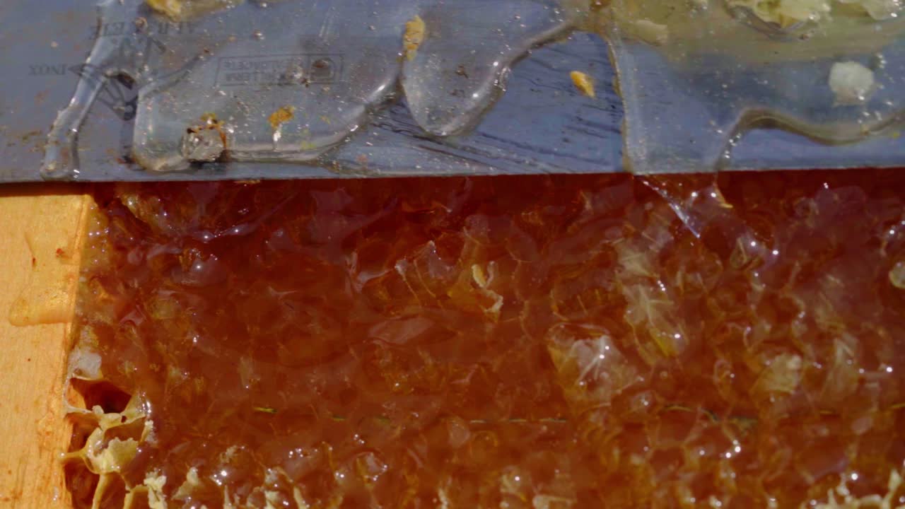 Honey droplets from honeycomb when cutting with razor blade