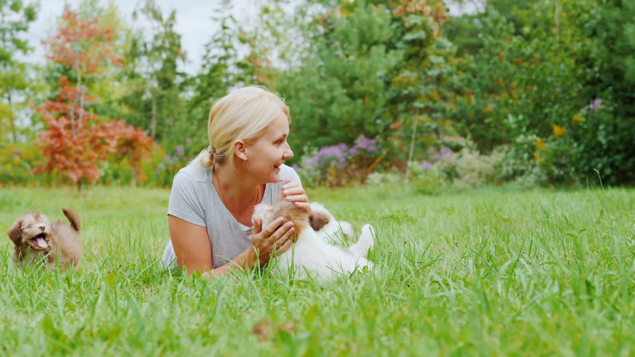 mujer jugando havanese cachorros